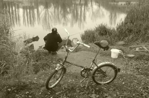 camping.jpg