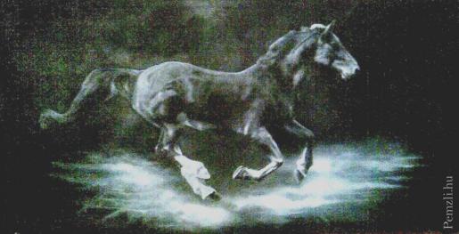 equuleus_1.jpg