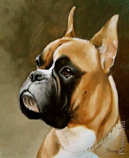 boxer_of_40x30.jpg