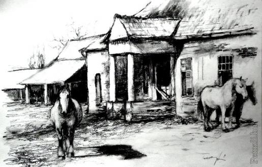 116.jpg