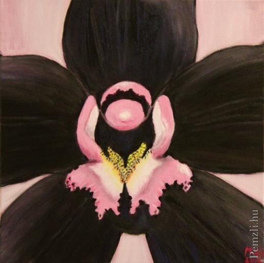 negra (640x638).jpg