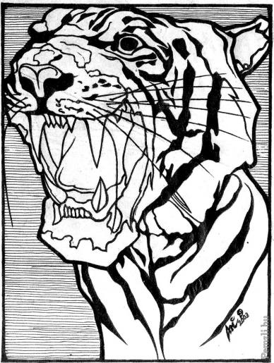 bengalitigrisvazlat.jpg
