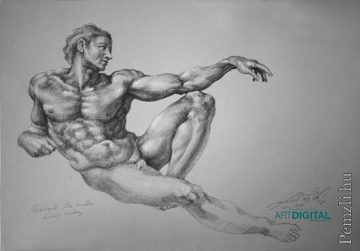 czegledi zoltan michelangelo sixtus kapolna utan adam anatomia.jpg