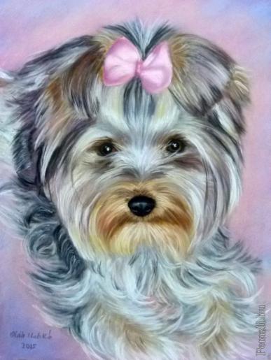 yorki.jpg
