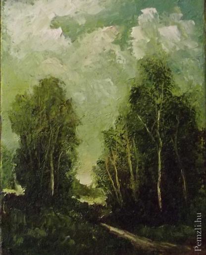 dscf0216.jpg