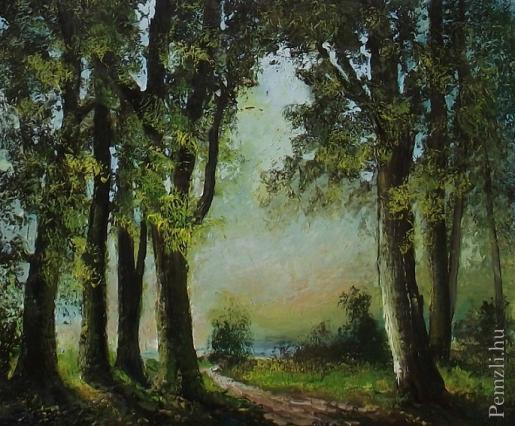 dscf0244.jpg