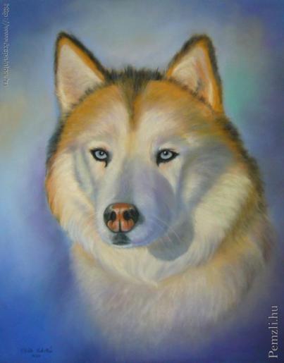 husky.jpg