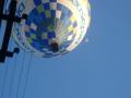 image014_t1.jpg