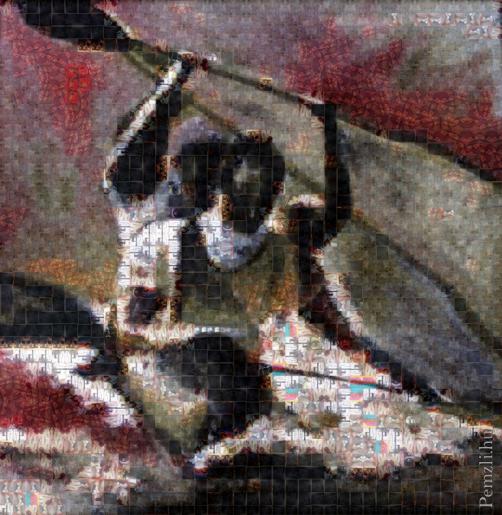docmosaic.jpg