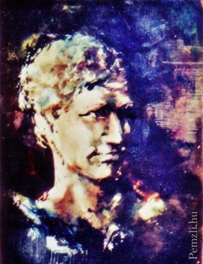 arc tanulmany25x3o cm olaj mulap attila.jpg