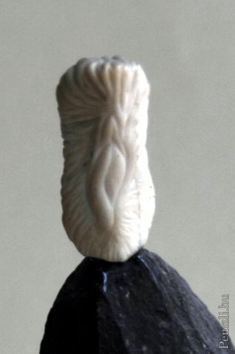 entrance to the vagina.jpg